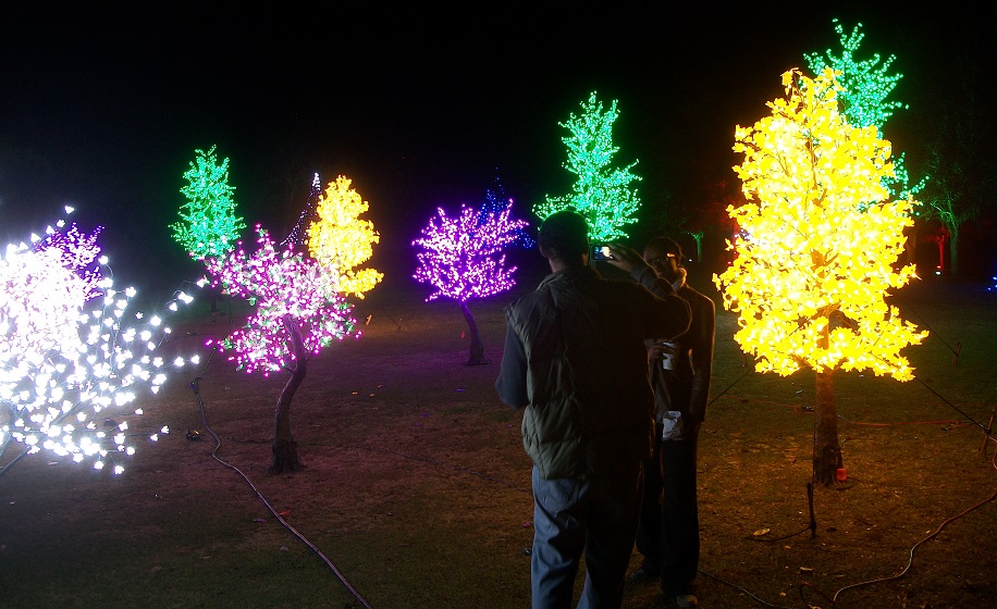 Airlie Gardens Christmas 2022 More Than 1 Million Christmas Lights Guide The Way Through Airlie Gardens  This December | Port City Daily