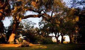 "Airlie Gardens is obviously owned by New Hanover County, and that’s another tract of land that we never actually had title too, but again helped with the negotiations," Herlevich said. "We commissioned one of the appraisals for the property, we helped write a grant to bring a couple of million dollars from the clean water management trust fund to New Hanover County for its purchase of the property, and that’s now one of the most popular places around."
