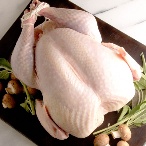 Veterinarians recommend not feeding your dog raw poultry. They'll just have to wait like everyone else. (Port City Daily photo / FILE).