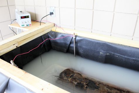 The electrolysis set up for the cannon, before a cover was placed over the artifact. This "salt magnet" will work to remove the salt from the cast-iron cannon.
