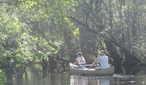 A couple paddles down the serene Waccamaw River. (Port City Daily photo/Courtesy Christine Ellis)