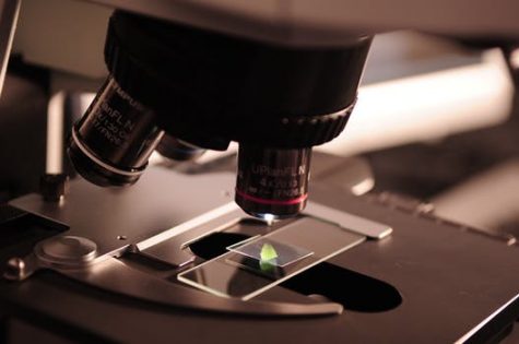 Media attention - a "frenzy" as Professor Jamie DeWitt called it - can bring some chemicals under the microscope, while potentially leaving others examined. (Port City Daily photo / FILE PHOTO)