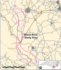 The area being considered for the new State Park would run along portions of the Black River in Pender, Bladen, and Sampson counties. (Port City Daily photo/COURTESY NC STATE PARKS)