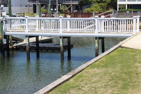 Bulkheads create a sharp vertical transition from land to sea. Instead of wave energy transferring onto a sloping plane, it is forced to disperse against the wall and can cause damage to existing wetlands. (Port City Daily/Johanna Ferebee)