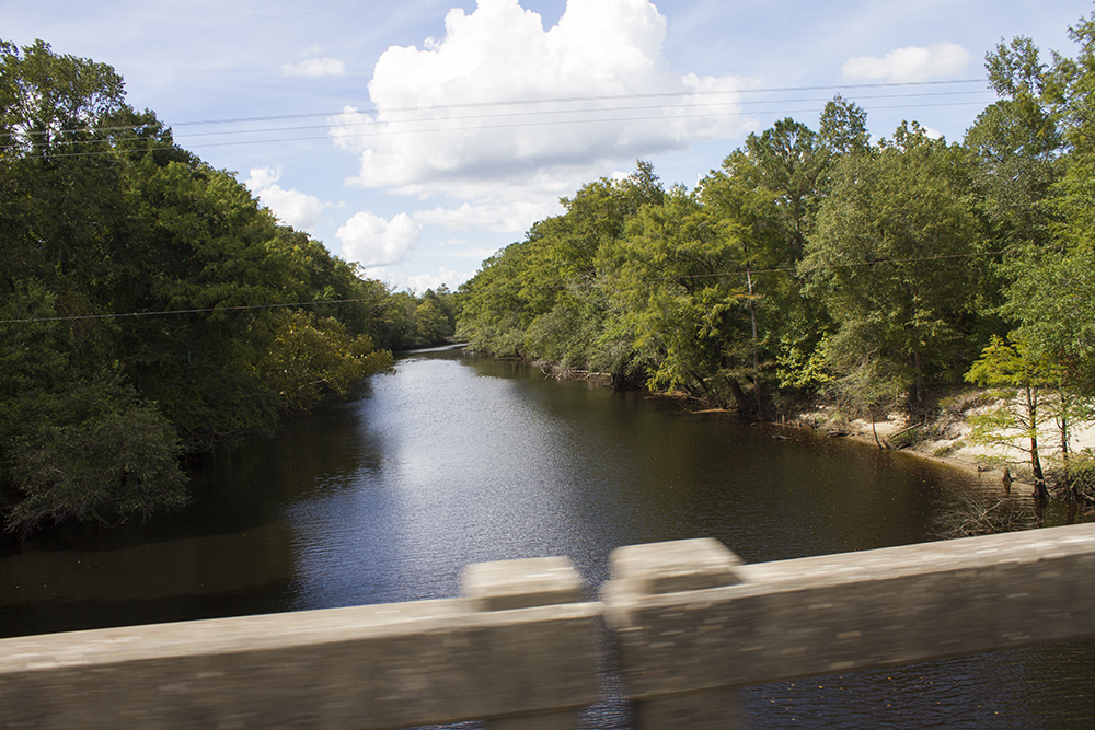 Approximately 5.25 million gallons of partially untreated wastewater spilled into the Cape Fear River near River Road in Wilmington yesterday from Cape Fear Public Utility's Southside Wastewater Plant. (Port City Daily/Johanna Ferebee)