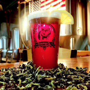 Brewed for the 2019 Biere De Femme Festival, the Light Urple at Bill's Brewing is a Belgian Pale Ale featuring clover honey and floral additions to create it slight purple tint. (Port City Daily photo/Bill's Brewing Co.)