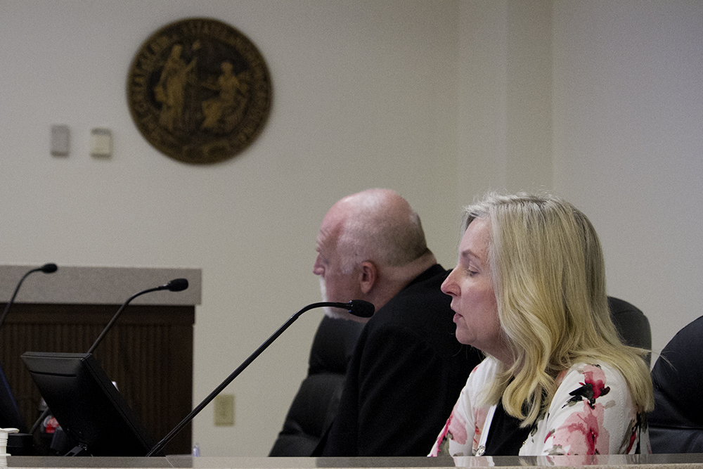 Brunswick County Manager Ann Hardy speaks to Commissioners at a specially-called utility meeting Tuesday. (Port City Daily photo/Johanna Ferebee)