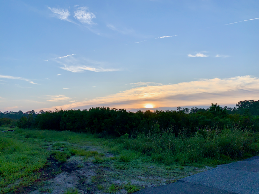 Located off Lendire Road and Market street, 30-acres are slated to become a mixed-use development (Port City Daily/Michael Praats)