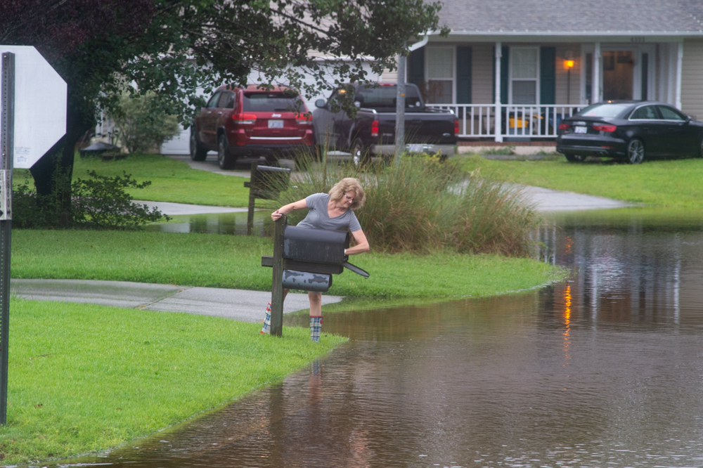 6:00 p.m. A woman looks for mail on a flooded street in the North Chase neighborhood. (Port City Daily photo/Mark Darrough)