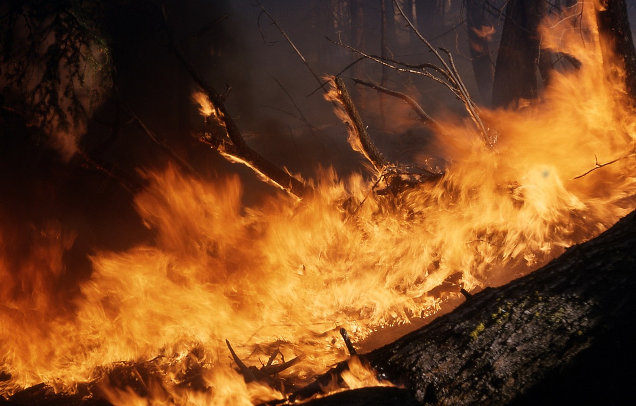 Pender County EMS and Fire Chief Woody Sullivan said a controlled fire got out of control and is in danger of spreading due to forecasted high winds. (Port City Daily photo/File)